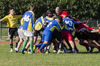 thumb_DSC_9290.JPG